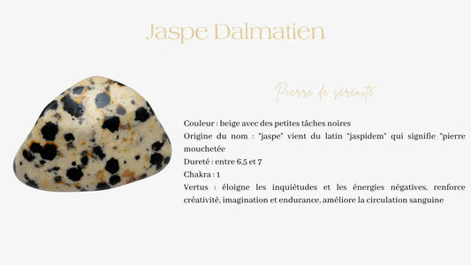 Le-jaspe-dalmatien d.or.é.mi